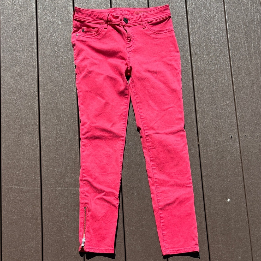 Vibrant coral pants for Women